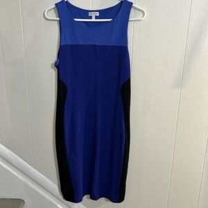 Pea in the Pod Form Fitting Maternity Dress, Blue & Black Colorblock - Size L